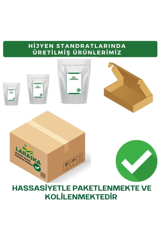 Kıvırcık Nane 100g - Spearmint 100g