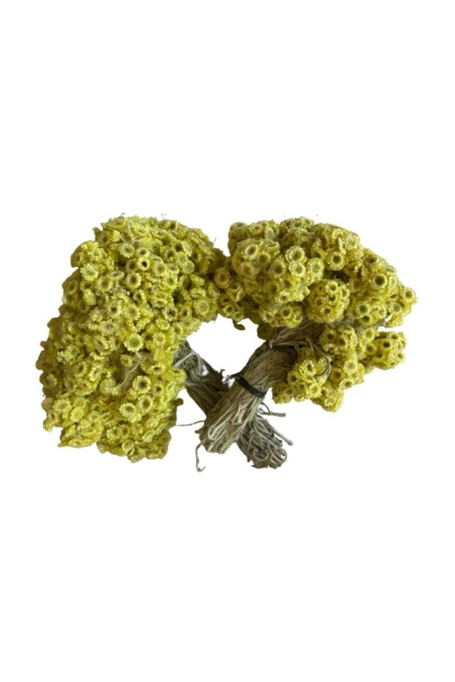 Altın Otu (1 Demet)