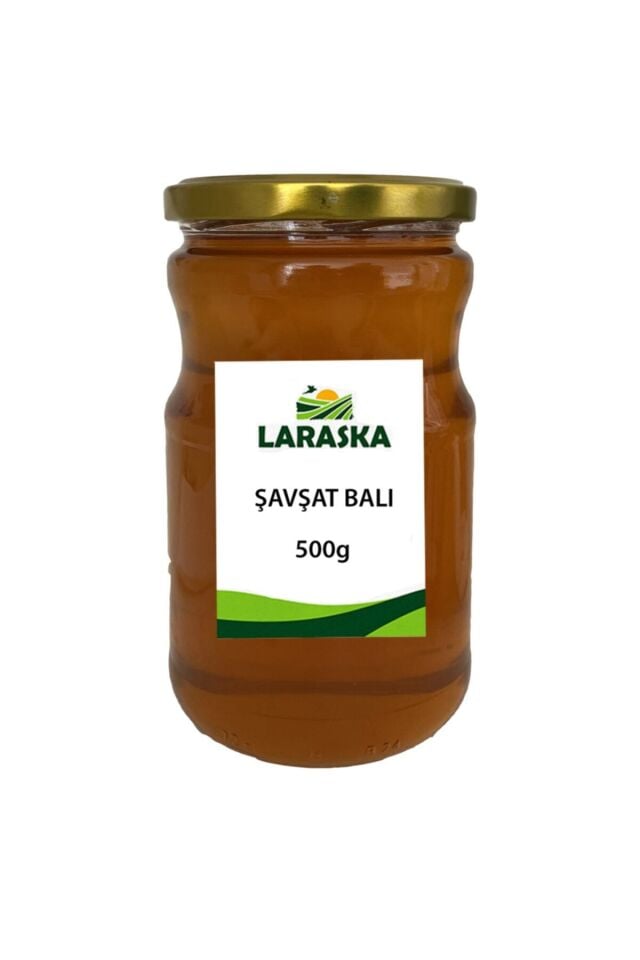 Artvin Şavşat Balı 500g ( 1.kalite)