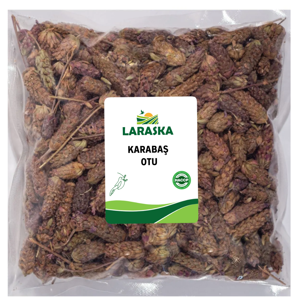 Karabaş Otu - Lavandula Stoechas