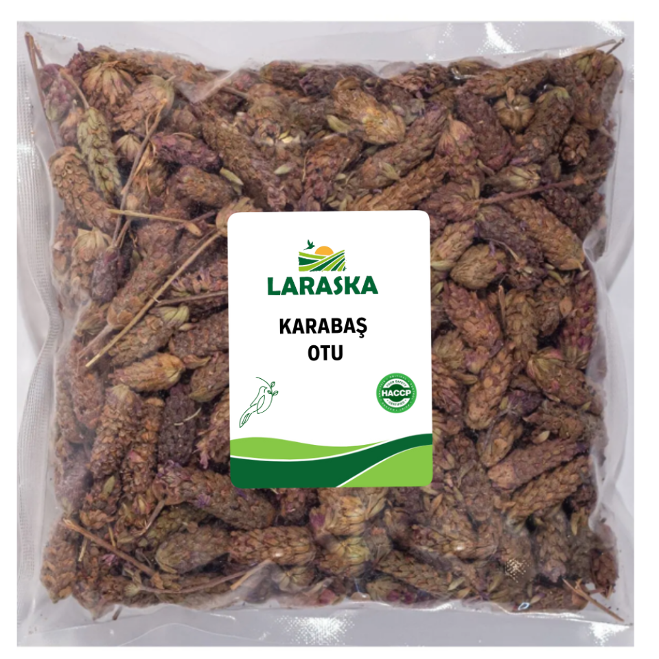 Karabaş Otu - Lavandula Stoechas