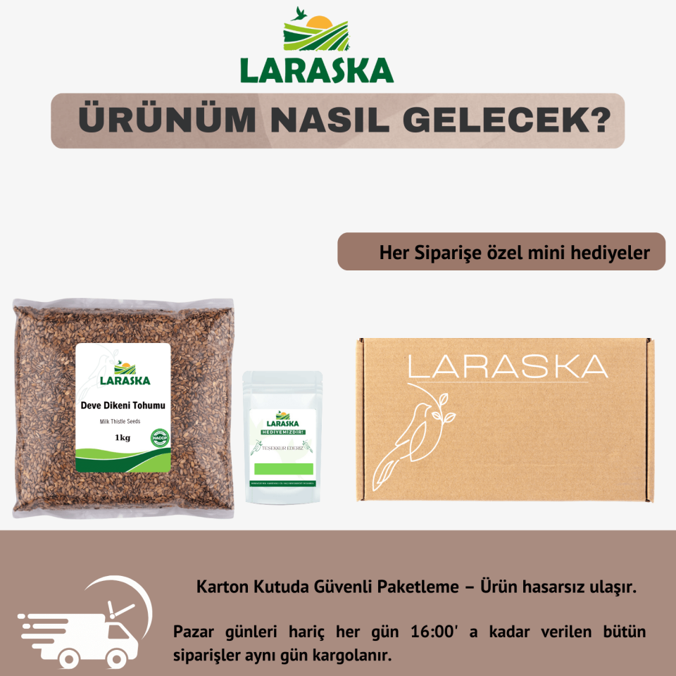 Deve Dikeni Tohumu 1 Kg - Milk Thistle Seeds 1kg