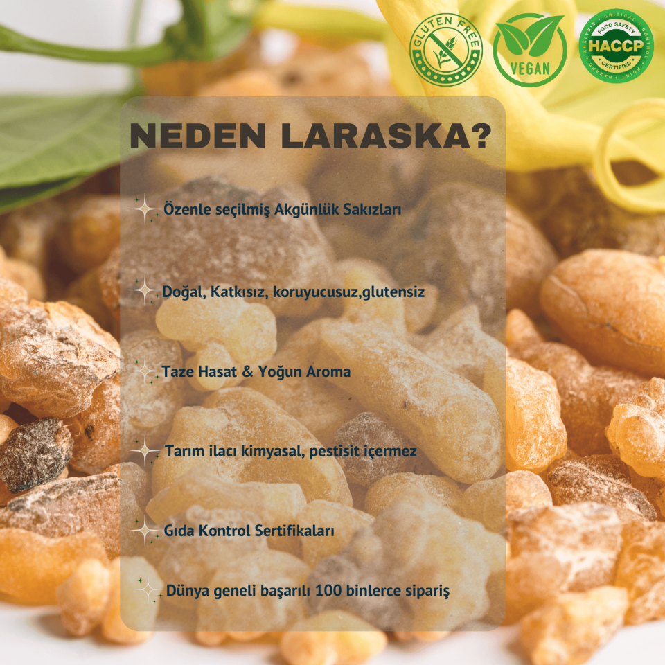 Akgünlük Sakızı 100g