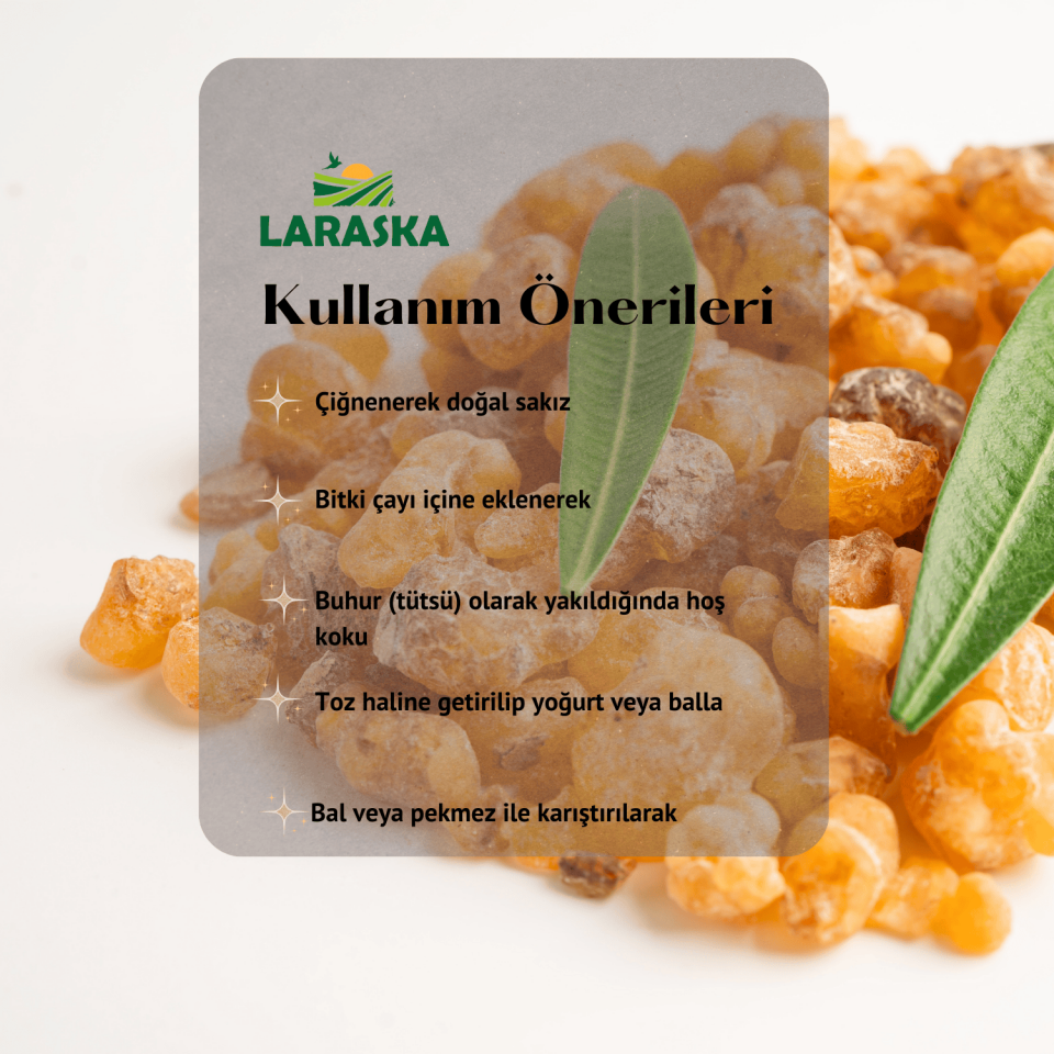 Akgünlük Sakızı 100g