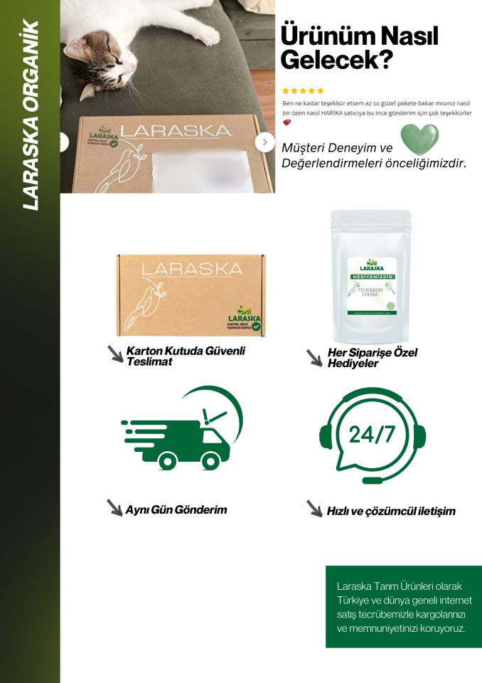 Kabak Çekirdeği İçi Çiğ 1kg- Raw Pumpkin Seeds