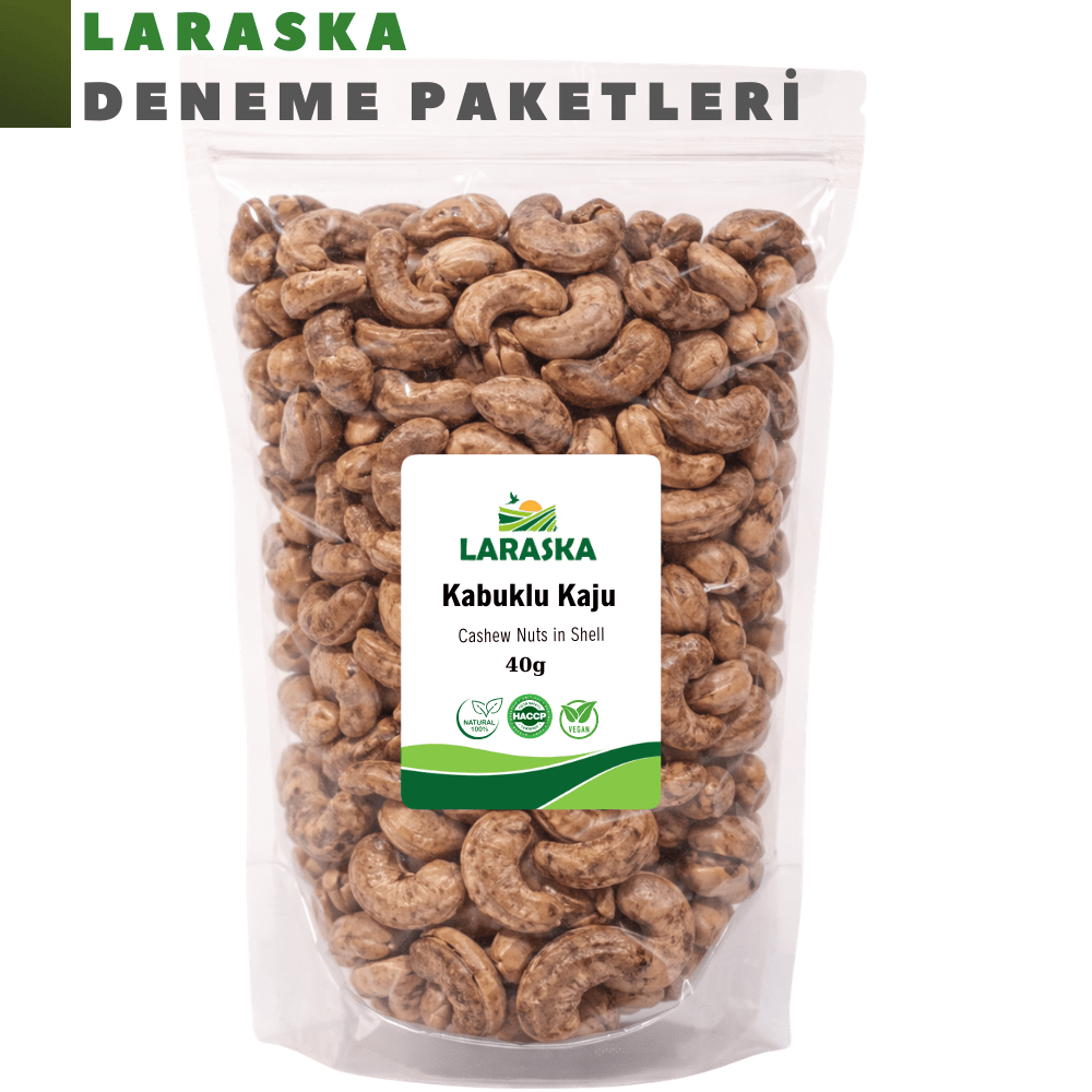 Kabuklu Zarlı Kaju 40g Taze Jumbo Cashew Nuts in Shell Deneme Boy