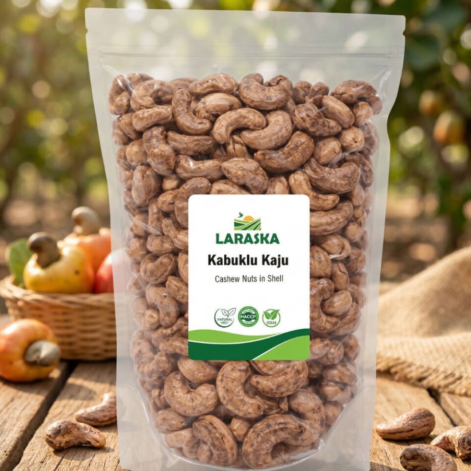 Kabuklu Zarlı Kaju 140g Taze Jumbo Cashew Nuts in Shell Deneme Boy