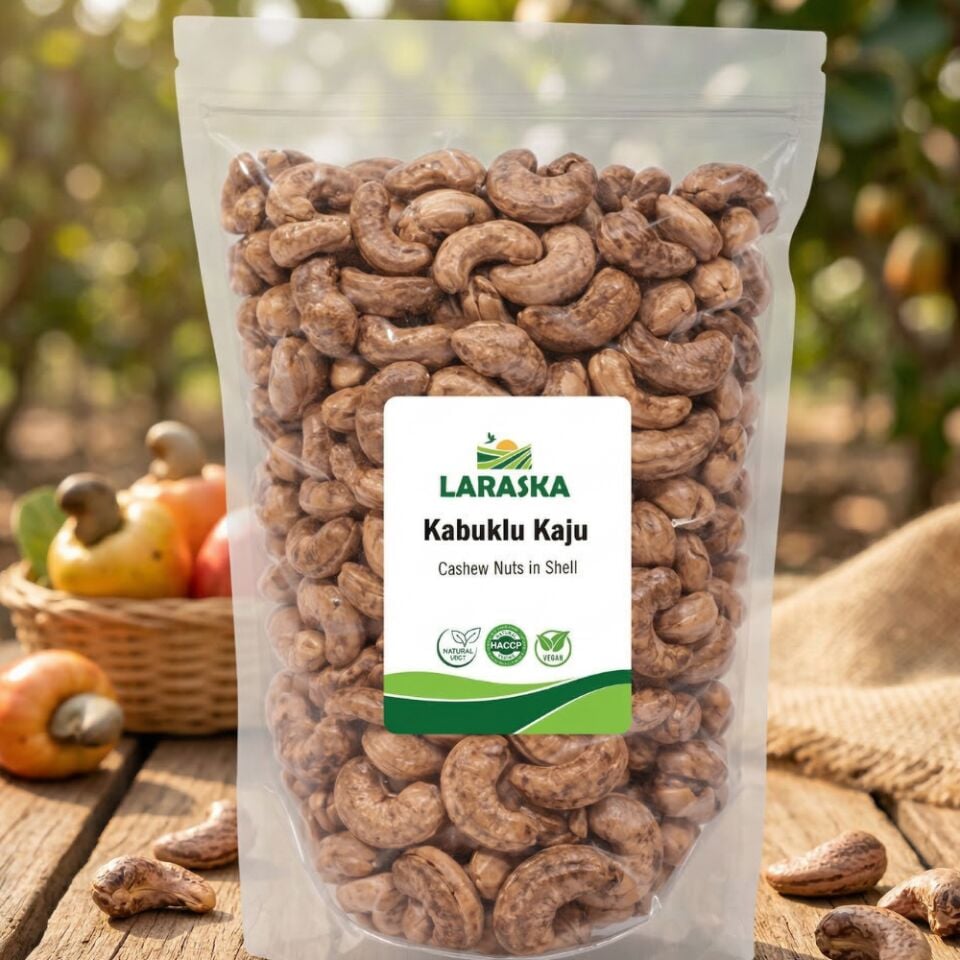 Kabuklu Zarlı Kaju 400g Taze Jumbo Cashew Nuts in Shell