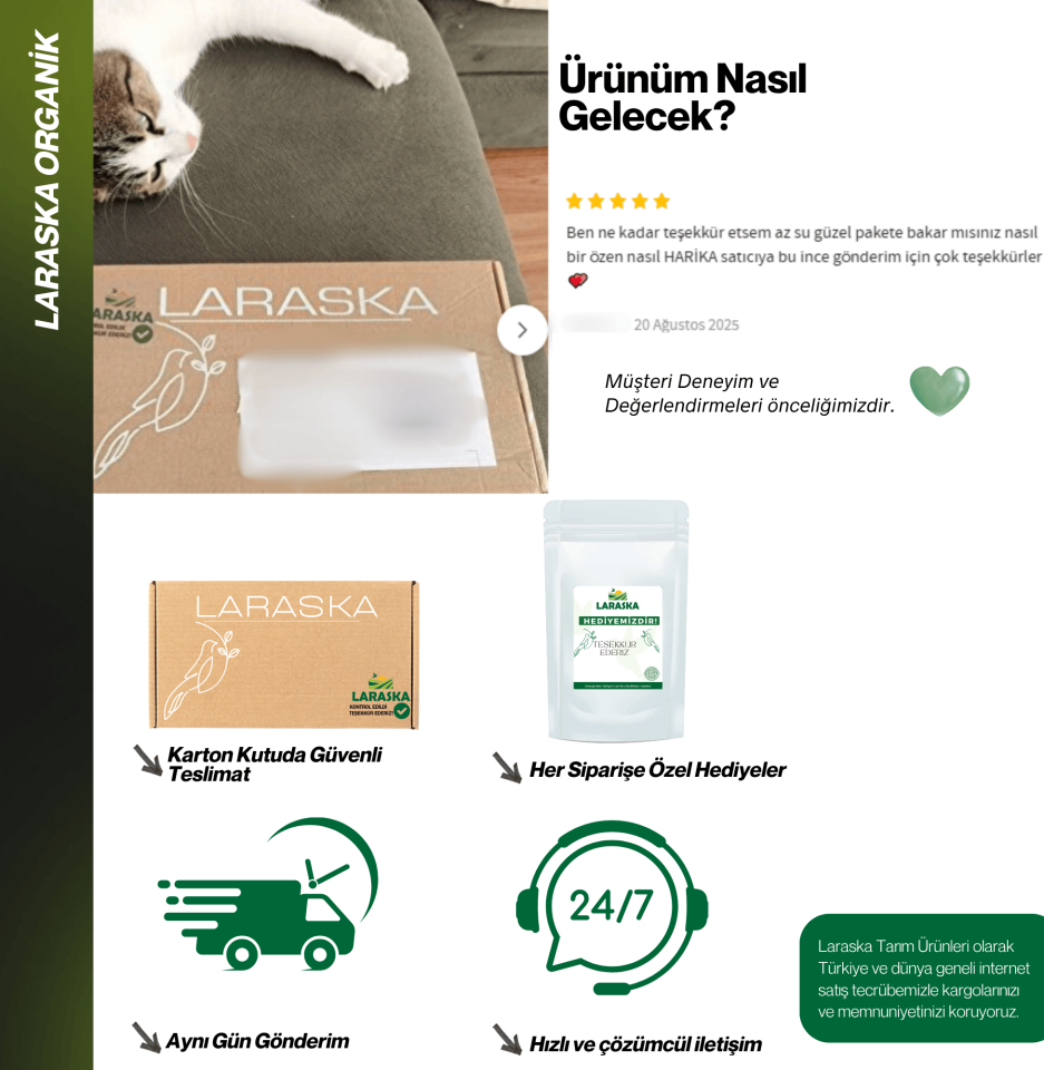 Organik Zencefil Tozu 50g - Ginger Powder Certified Organic