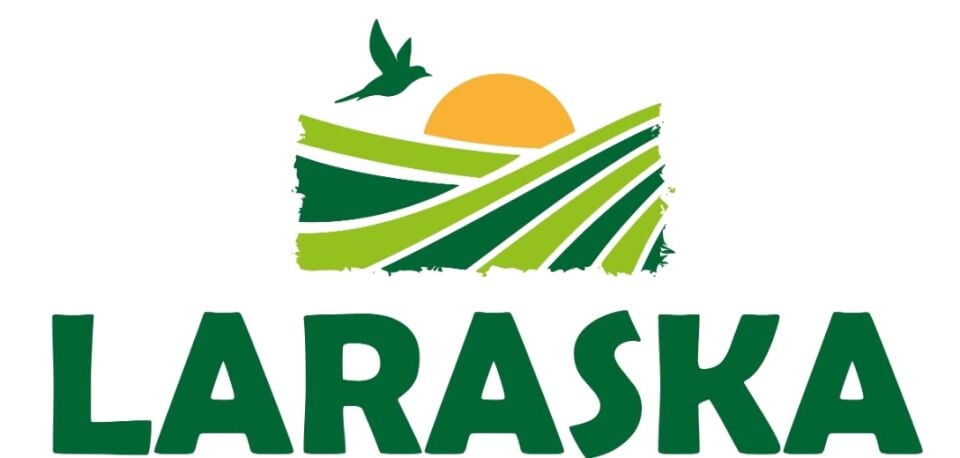 Saf Vanilya Toz 20g Gerçek Vanilya Tozu Vanilla Sticks Ground