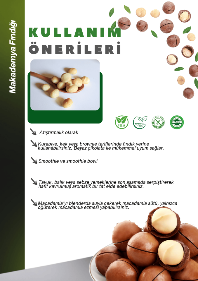 Kabuklu Kavrulmuş Makademya Fındığı 100g Macadamia Nuts in Shell