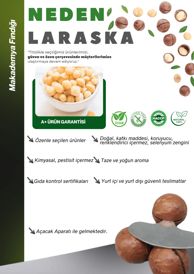 Kabuklu Kavrulmuş Makademya Fındığı 1kg Macadamia Nuts in Shell