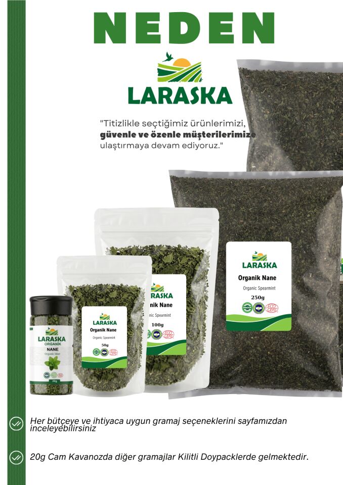 Organik Nane 20g - Organic SpearMint 50g