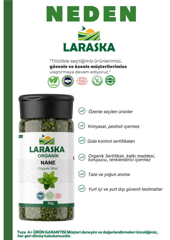 Organik Nane 250g - Organic SpearMint 250g