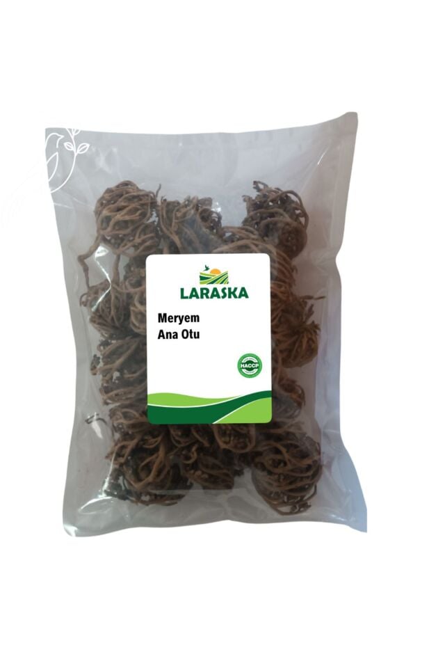 Meryem Ana Eli Otu 1 Adet