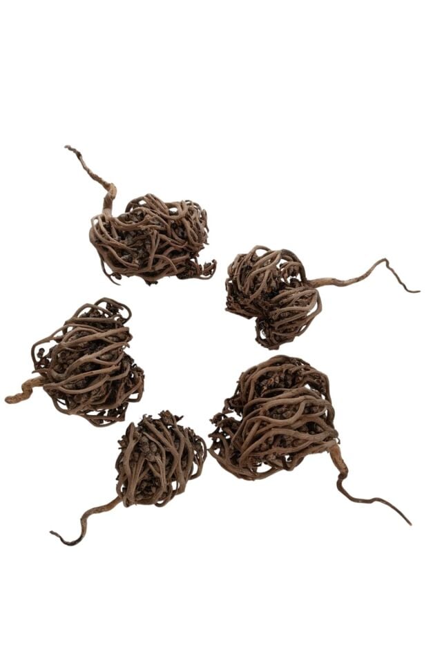 Meryem Ana Eli Otu 1 Adet