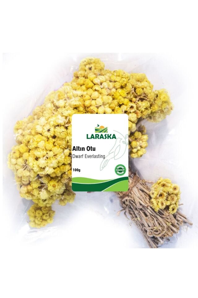 Altın Otu Demet 100g - Dwarf Everlasting