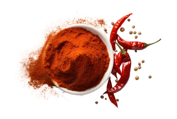 ABONE OLUN, KAMPANYA ve FIRSATLARDAN ANINDA HABERDAR OLUN!